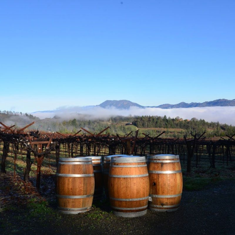 Three wooden barrels in a vineyard with mountains in the background