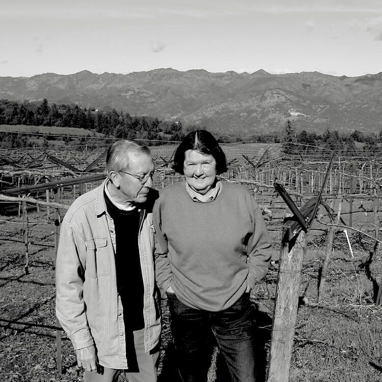 A smiling couple standing in a Napa vineyard during winter with bare vines and mountains in the background.
