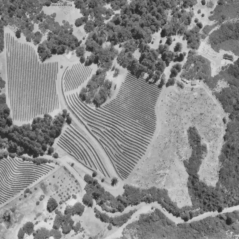 A panoramic black-and-white view of Paloma Vineyard’s scenic estate on Spring Mountain, rich with heritage.