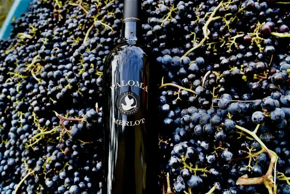 A bottle of merlot is sitting on top of a pile of grapes
