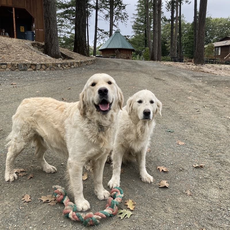 Franc and Mita at Paloma Vineyard, representing the heart and passion behind the winery’s acclaimed legacy.
