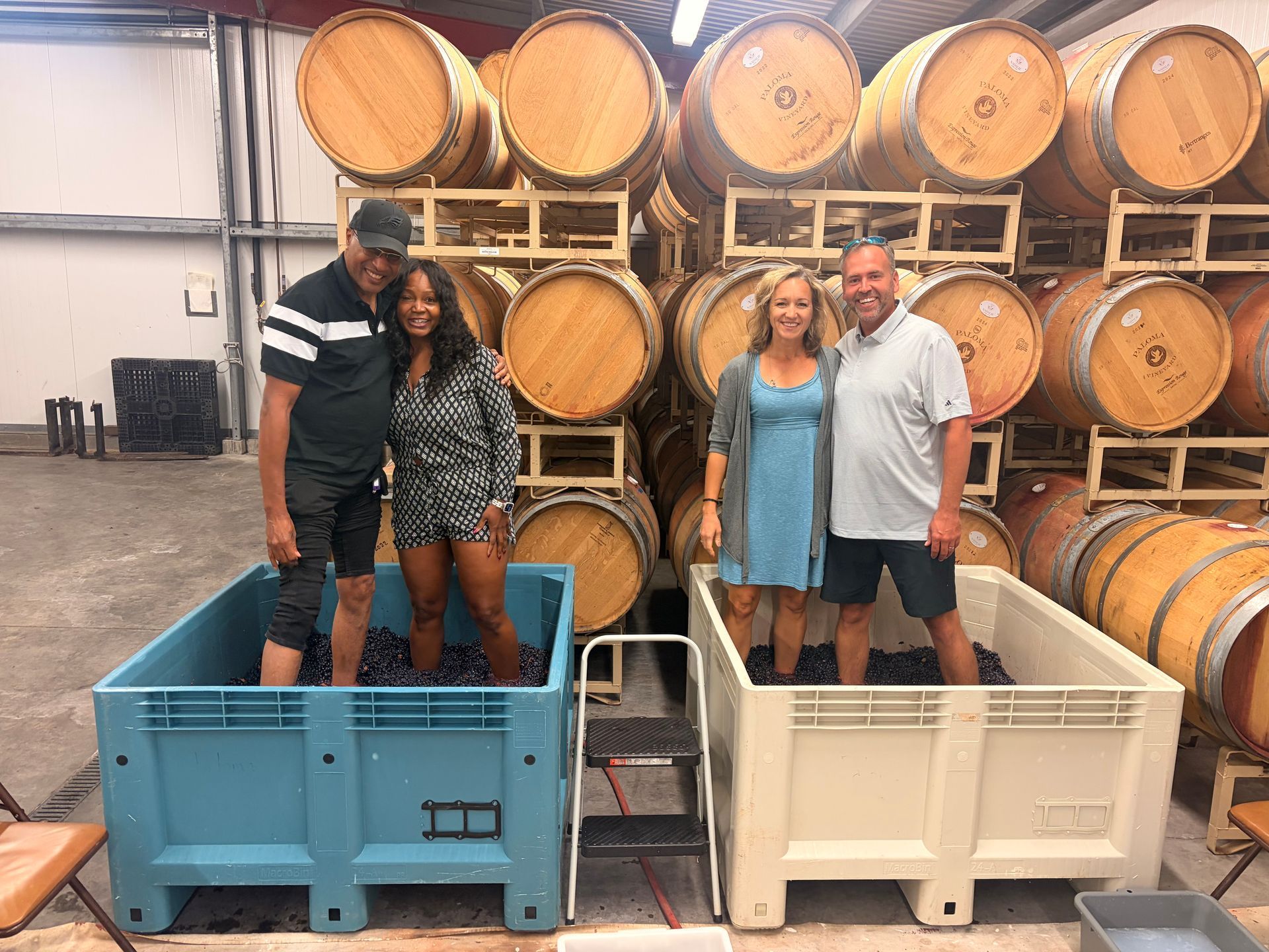 group of people crushing grapes at Paloma Vineyards