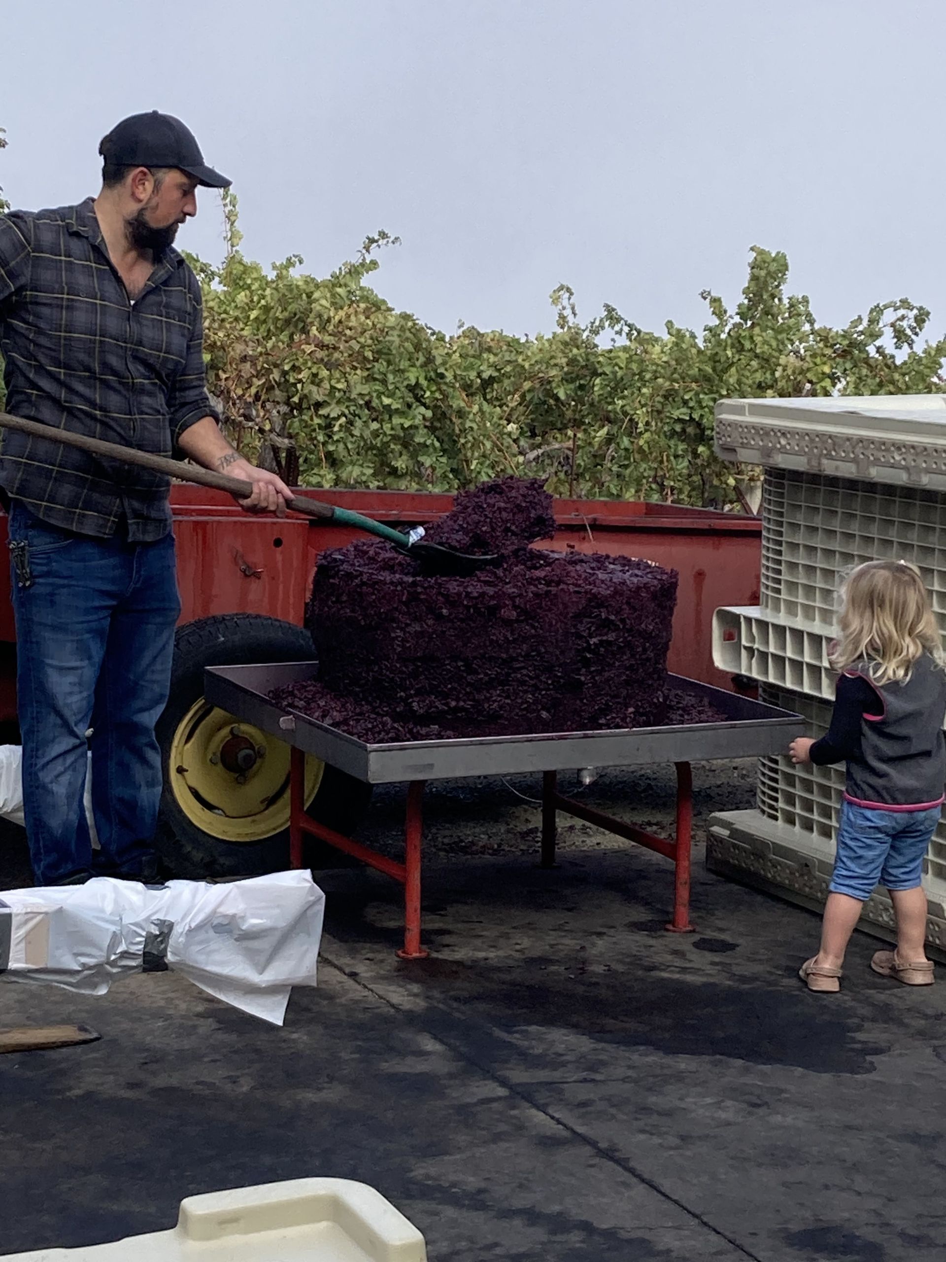 A man and a little girl are standing next to a cart full of grapes