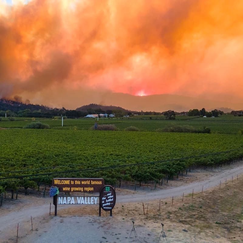 Vineyards in Napa Valley with a welcome sign in front and wildfire smoke rising over the hills at sunset.