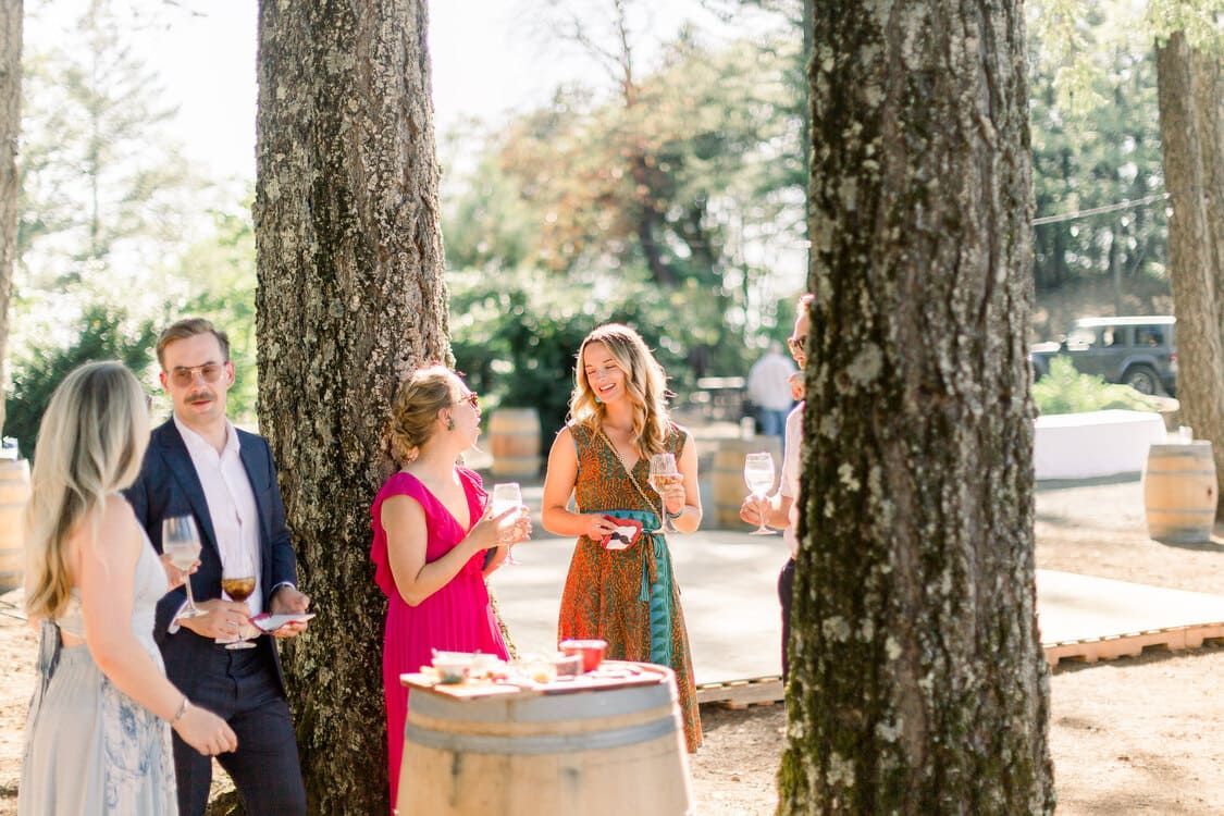 A group of people are standing under a tree holding wine glasses.