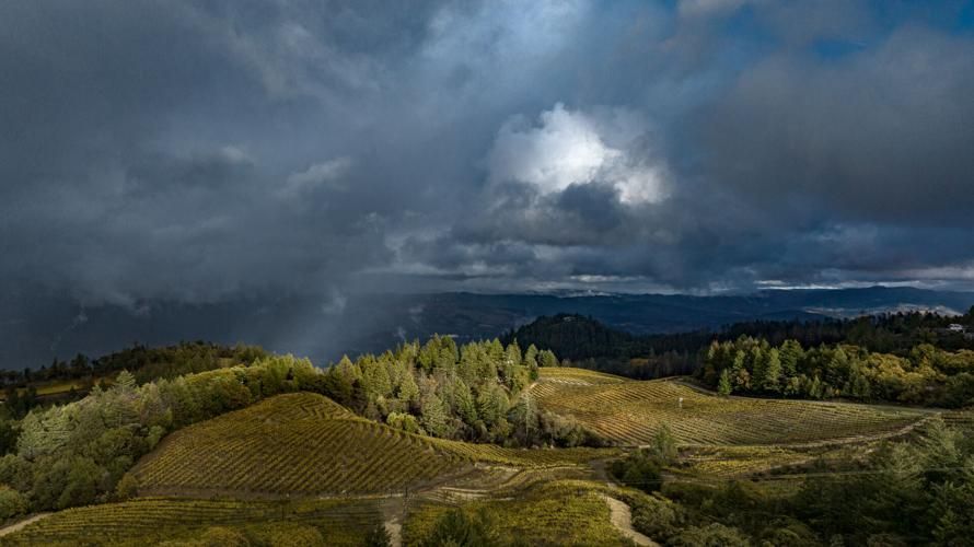 Dramatic storm clouds over rolling vineyard hills at Paloma Vineyard, sunlight breaking through Spring Mountain landscape.