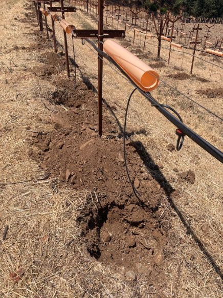 Volcanic vineyard soil and irrigation line illustrating wine terroir on Spring Mountain