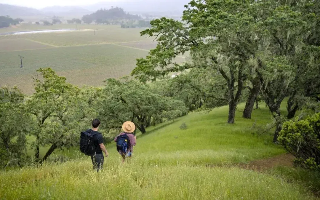 A man and a woman are walking down a grassy hill.