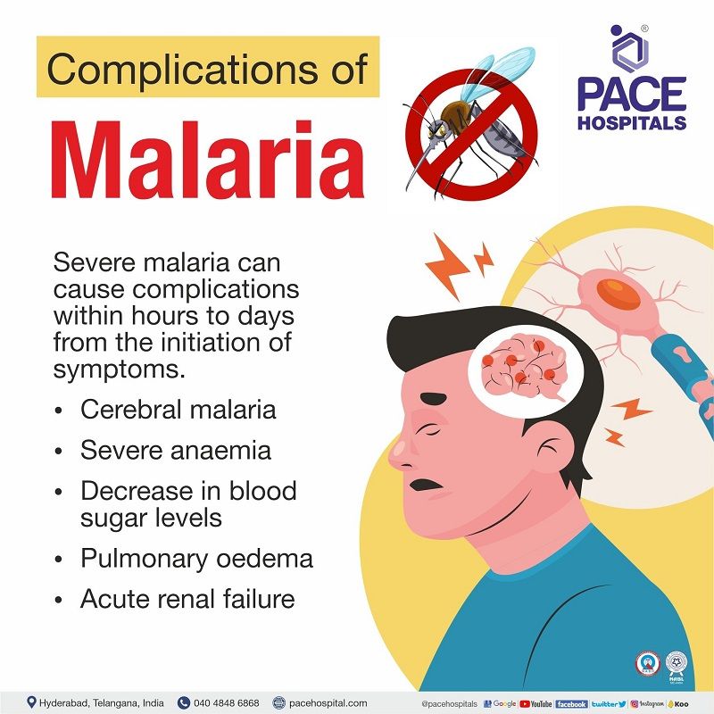 Malaria Symptoms, Causes, Types, Complications & Prevention