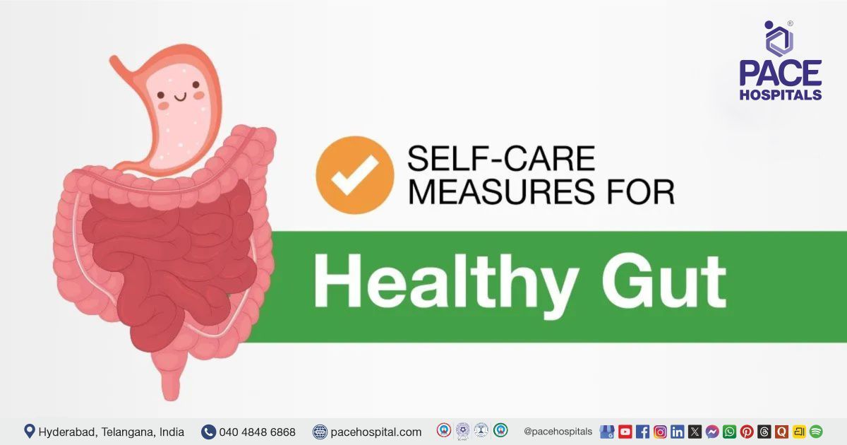 A colorful circle of gut-healthy foods, including yogurt, berries, nuts, and leafy greens, representing a diet for a high-metabolism gut.