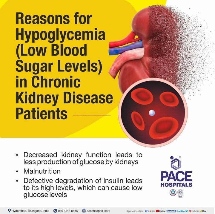 carbohydrate-metabolism-in-kidney-disease-ckd