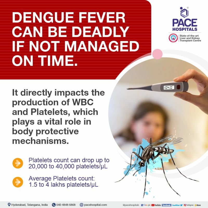Dengue Fever Symptoms, Causes, Diagnosis and Treatment