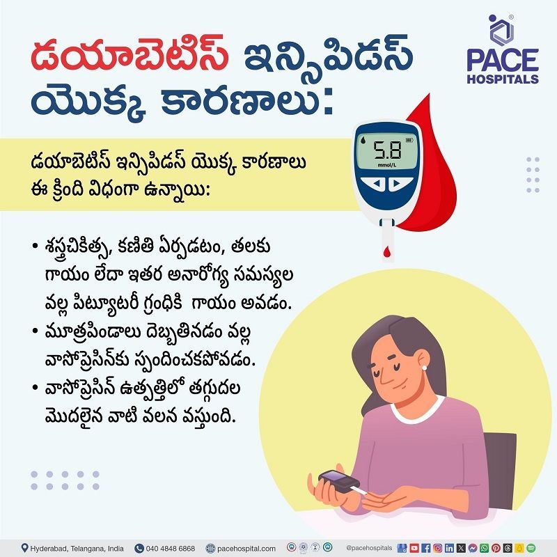 Causes of Diabetes insipidus in Telugu Diabetes insipidus causes in Telugu | తెలుగులో డయాబెటిస్ ఇన్సిపిడస్ కారణమవుతుంది
| Causes of Diabetes insipidus in Telugu | తెలుగులో డయాబెటిస్ ఇన్సిపిడస్ కారణాలు | Visual narrating the causes of diabetes insipidus in Telugu | తెలుగులో డయాబెటిస్ ఇన్సిపిడస్ యొక్క కారణాలను దృశ్యమానంగా వివరిస్తుంది