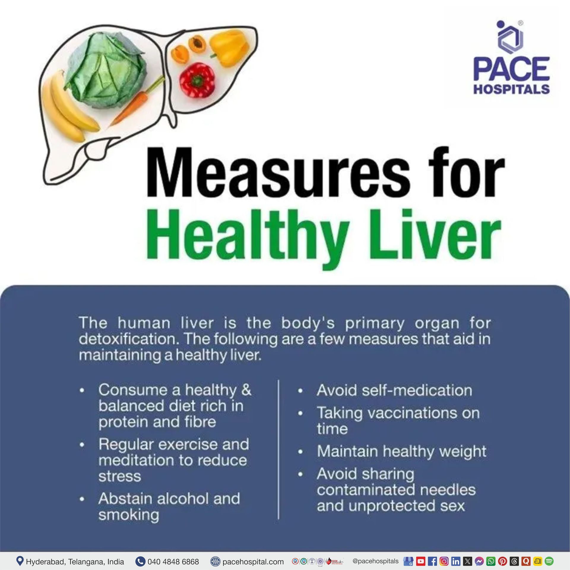 Measure for healthy Liver | healthy Liver Measures | World liver day facts | measure to keep your liver healthy | Visual depicting measures for a healthy liver.