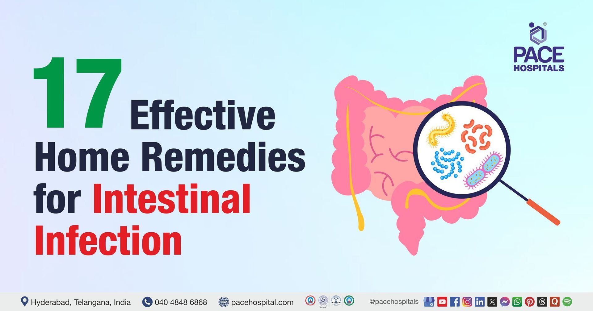 Guide to best 17 natural home remedies for intestinal infection to relieve symptoms, heal naturally
