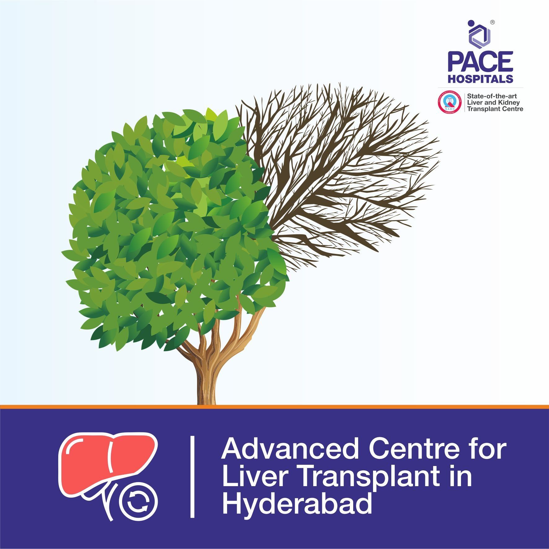 Advanced Centre for Liver Transplant in Hyderabad, Telangana liver transplant cost in Hyderabad | best liver transplant hospital in Hyderabad | top 10 liver transplant hospitals in india