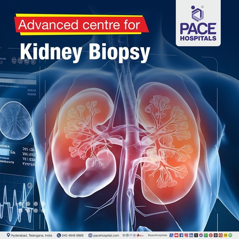 Leading Centre for Kidney Biopsy in Hyderabad, India Best Hospital for Kidney Biopsy Testing in Hyderabad | Kidney Biopsy Procedure in India