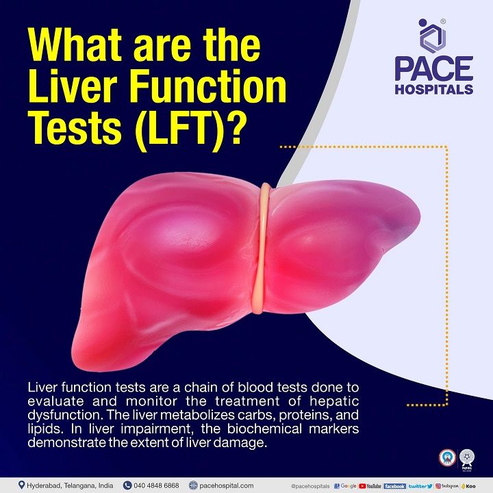Best liver function test in Hyderabad, Telangana best liver function test cost in Hyderabad, Telangana | blood test for liver function in India | lft panel