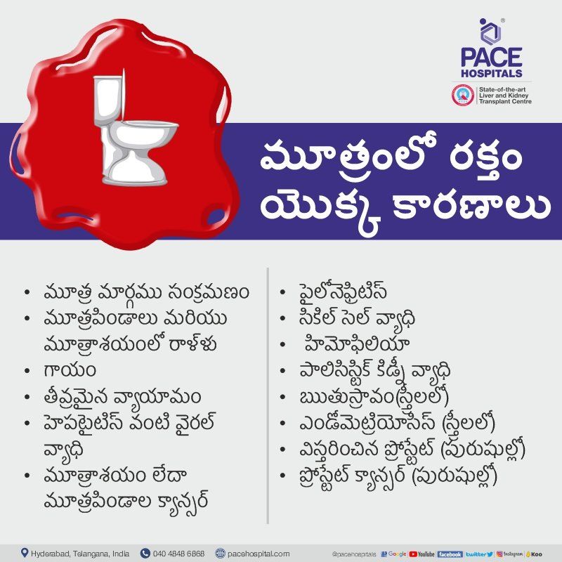 Blood in urine causes in telugu Blood in urine causes in telugu - Blood in urine symptoms in telugu