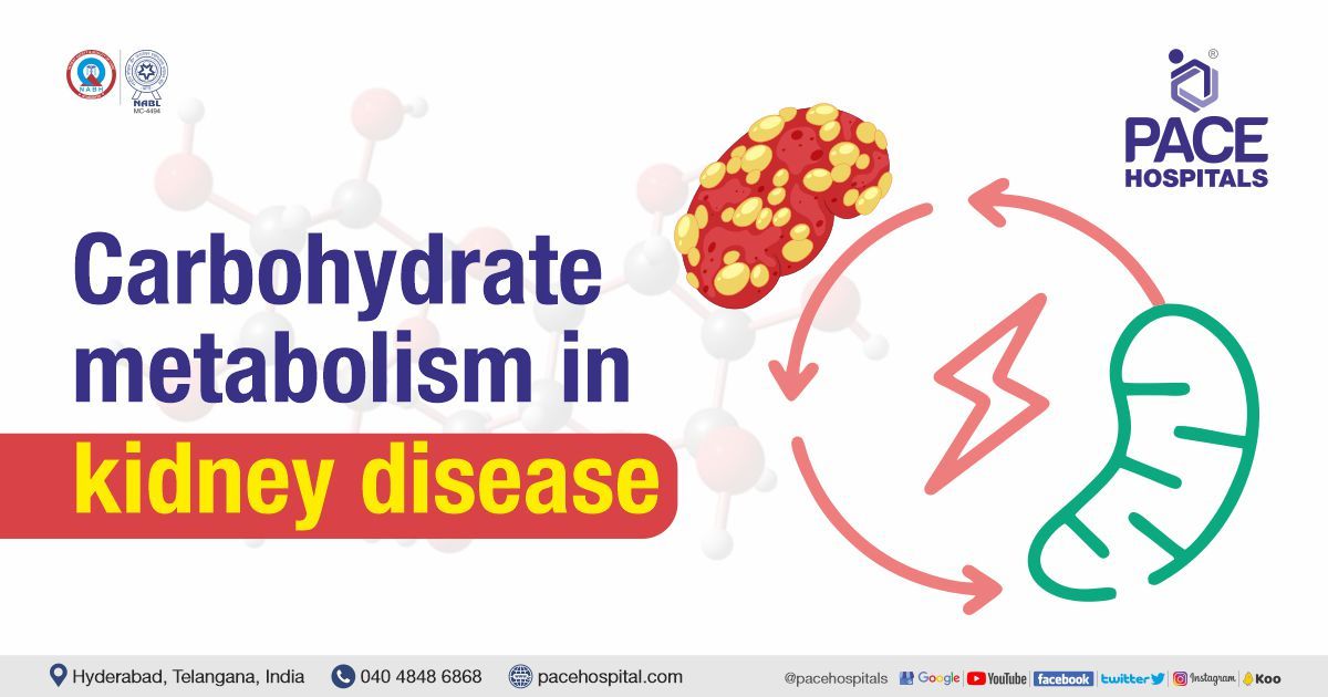 Carbohydrate Metabolism Changes in Chronic Kidney Disease
