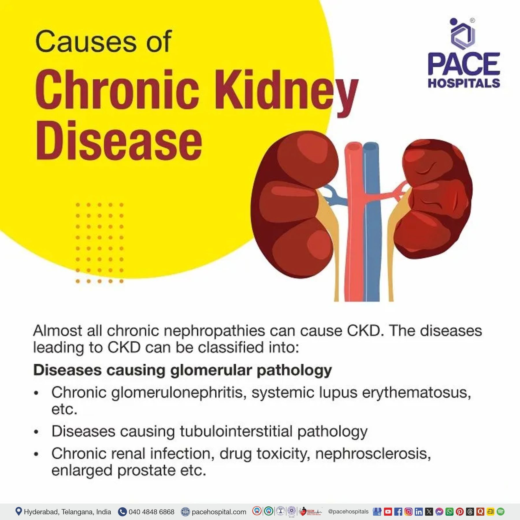 what causes chronic kidney disease CKD | chronic kidney disease causes and symptoms | causes of chronic kidney disease | chronic kidney disease stage 5 causes