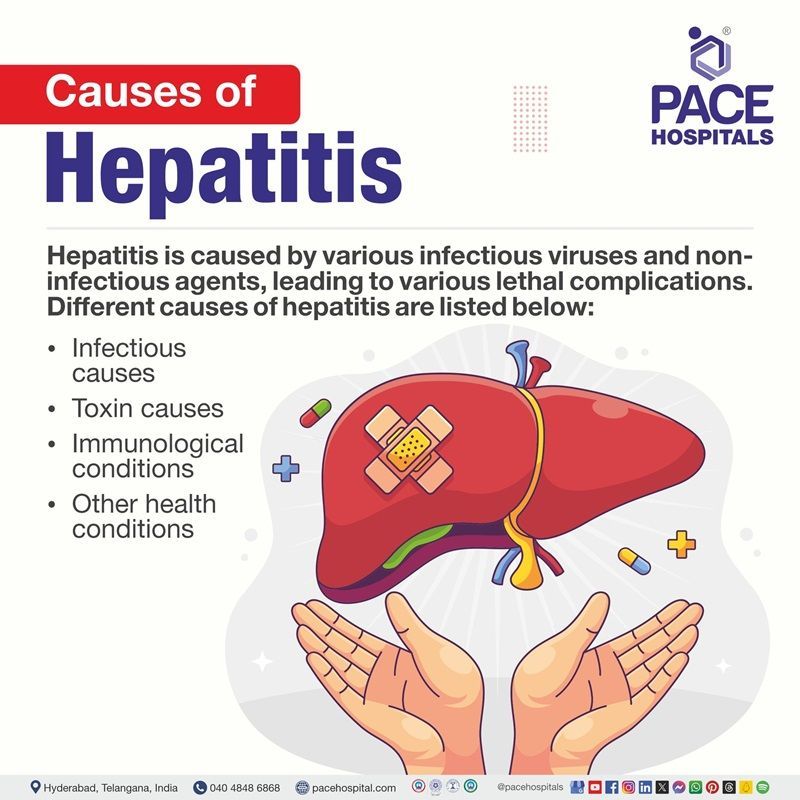 Hepatitis causes Hepatitis causes | CauseA of Hepatitis | Hepatitis a causes by | What causes hepatitis | Visual depicting the causes of hepatitis