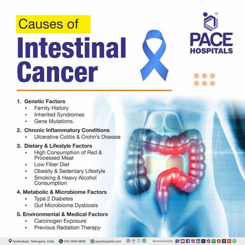 Intestinal Cancer Causes Intestinal Cancer Causes | Image showing the various causes of intestinal cancer