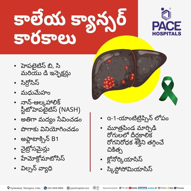 Liver cancer causes telugu Liver cancer causes in telugu language | what causes liver cancer in humans | liver cancer causes and symptoms in telugu language | causes of liver cancer in telugu