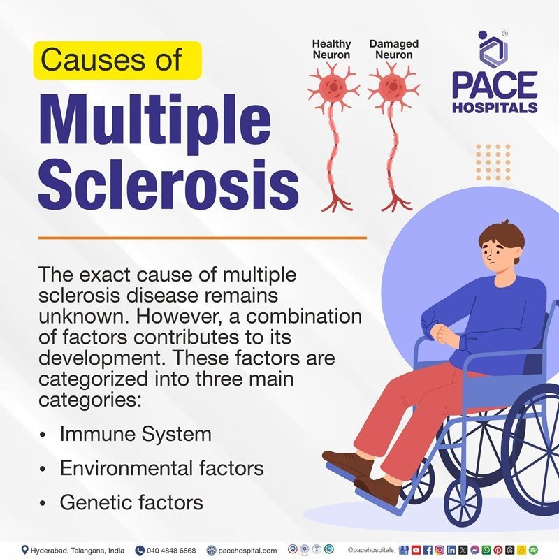 Multiple Sclerosis Causes multiple sclerosis causes | what causes multiple sclerosis | causes of multiple sclerosis disease | Visual depicting the causes of multiple sclerosis along with person suffering from multiple sclerosis