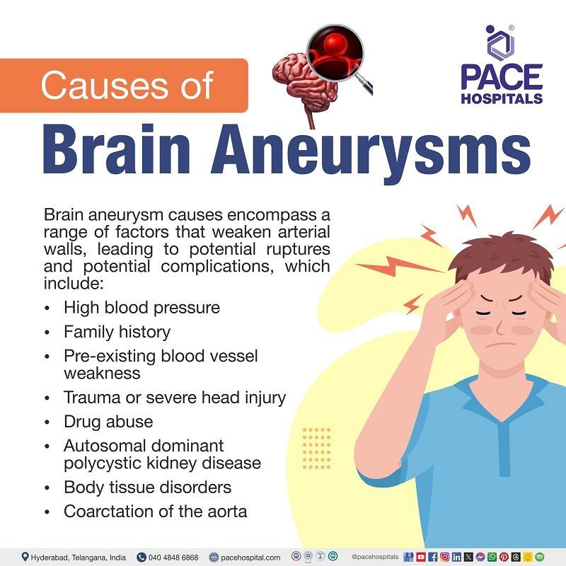 Brain aneurysm causes causes of brain aneurysm | what can cause a brain aneurysm | causes of brain aneurysm in young adults | Visual showing the causes of brain aneurysm