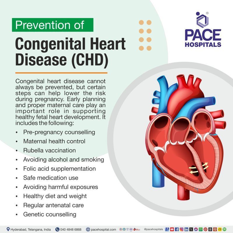 Congenital Heart Disease Prevention | Prevention of congenital heart disease