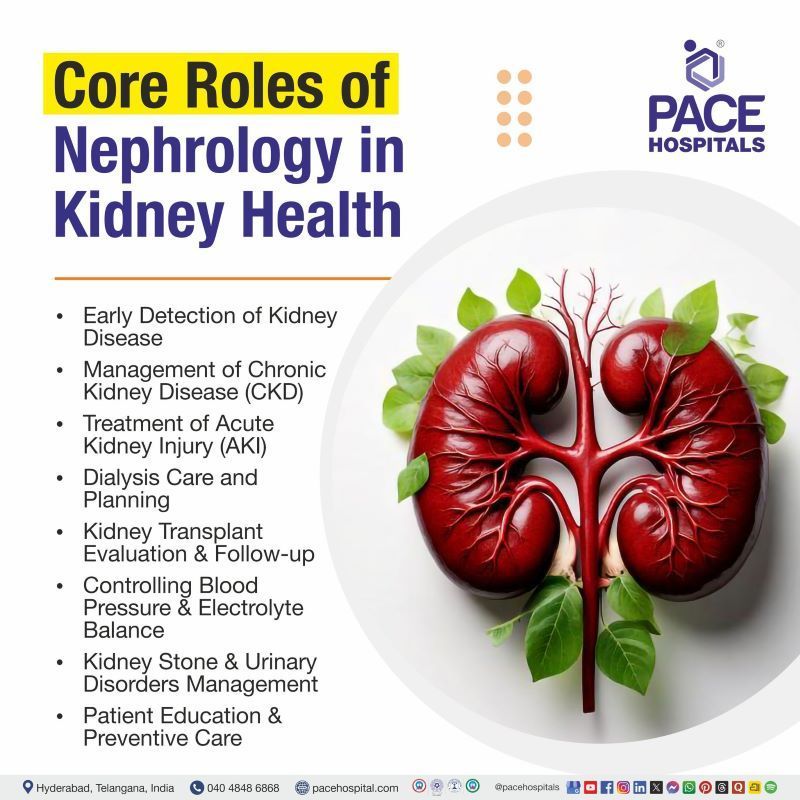 Core Roles of Nephrology in Kidney Health Core Roles of Nephrology in Kidney Health | Nephrology in India | Nephrology and Kidney Health