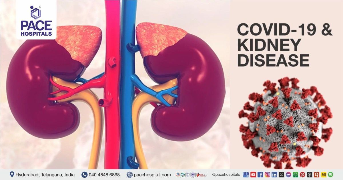 Covid-19 and Kidney Disease: Important Update for Kidney Patients