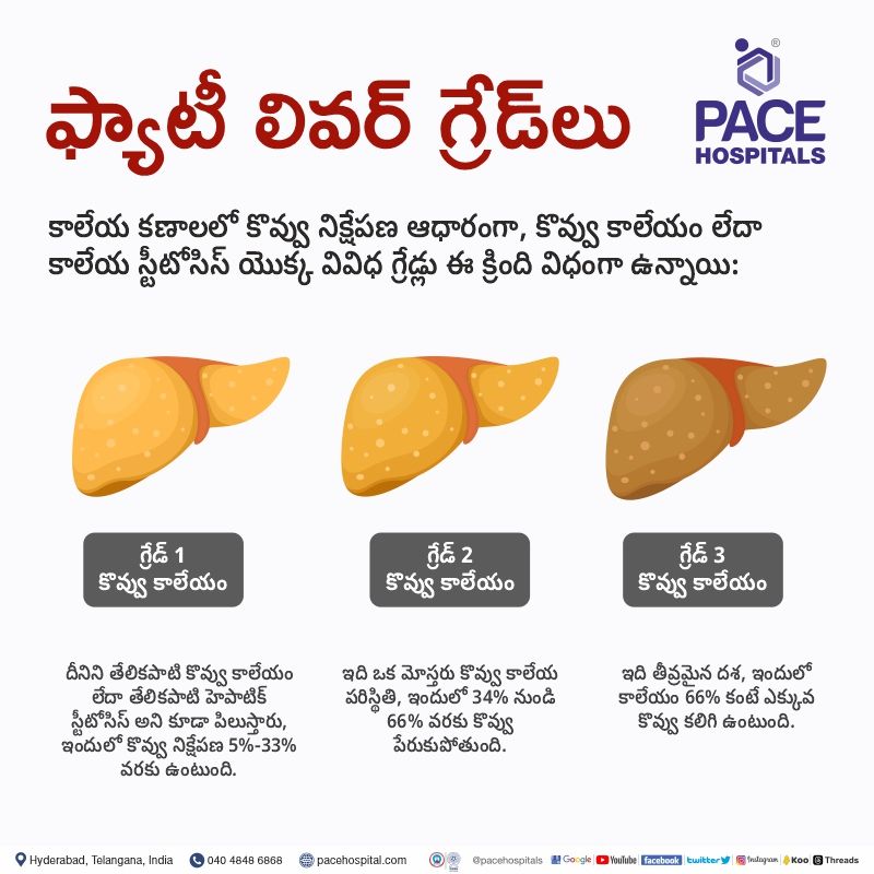 fatty liver grades in telugu | grade 1 fatty liver in telugu | fatty liver pain telugu | telugu fatty liver
