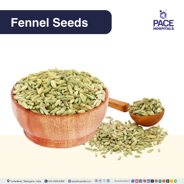 Fennel Seeds - Foeniculum vulgare Fennel Seeds - natural remedy for intestinal infection