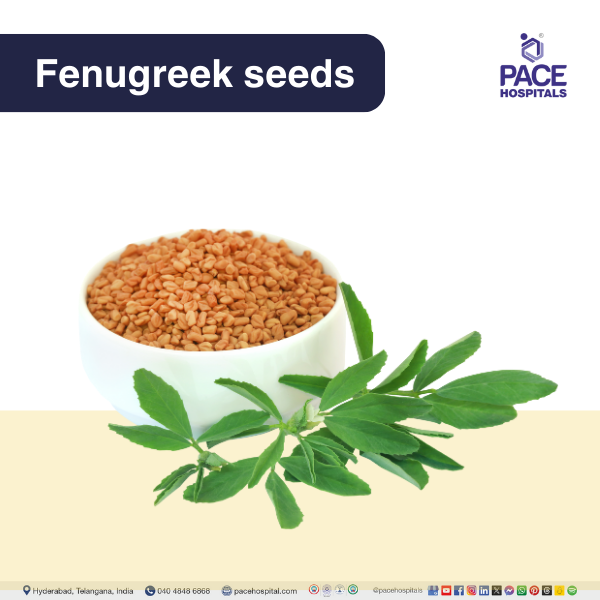 Fenugreek seeds - Trigonella foenum-graecum Fenugreek Seeds - best home remedy for loose motions