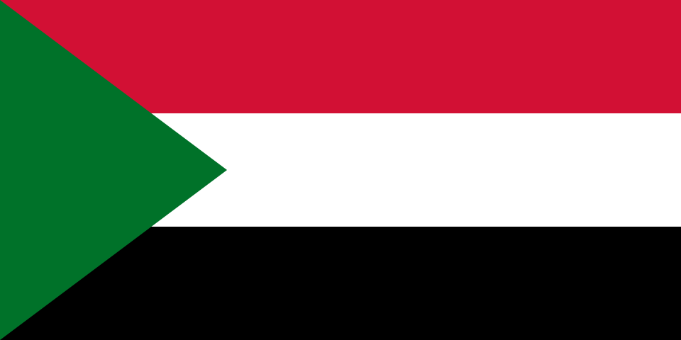 Sudanese patients receiving expert medical care at PACE Hospitals, India