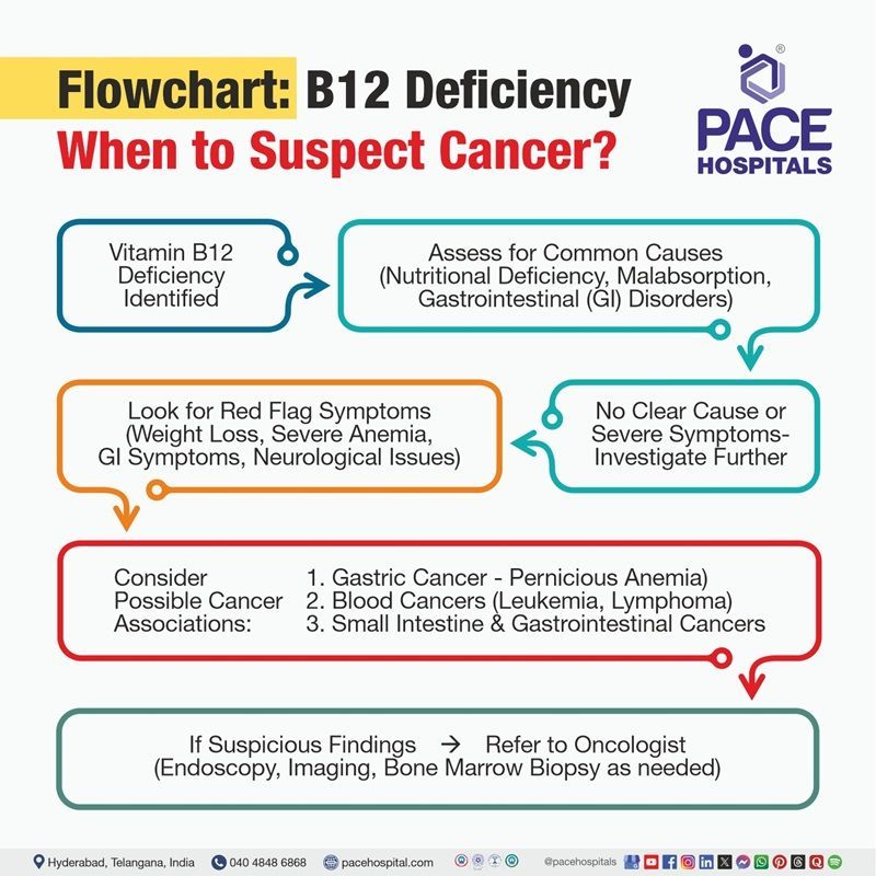 Flowchart: B12 Deficiency → When to Suspect Cancer Flowchart explaining whether vitamin B12 deficiency can be a sign of cancer, highlighting conditions like gastric cancer, blood cancers, and gastrointestinal tumors | Low Vitamin B12 Cancer Risk