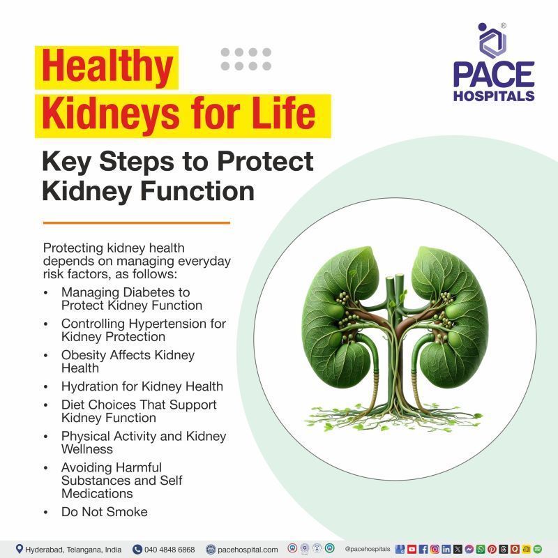 Key Steps to Protect Kidney Function Steps to Protect Kidney Function | Kidney health tips | Ways to keep your kidneys healthy