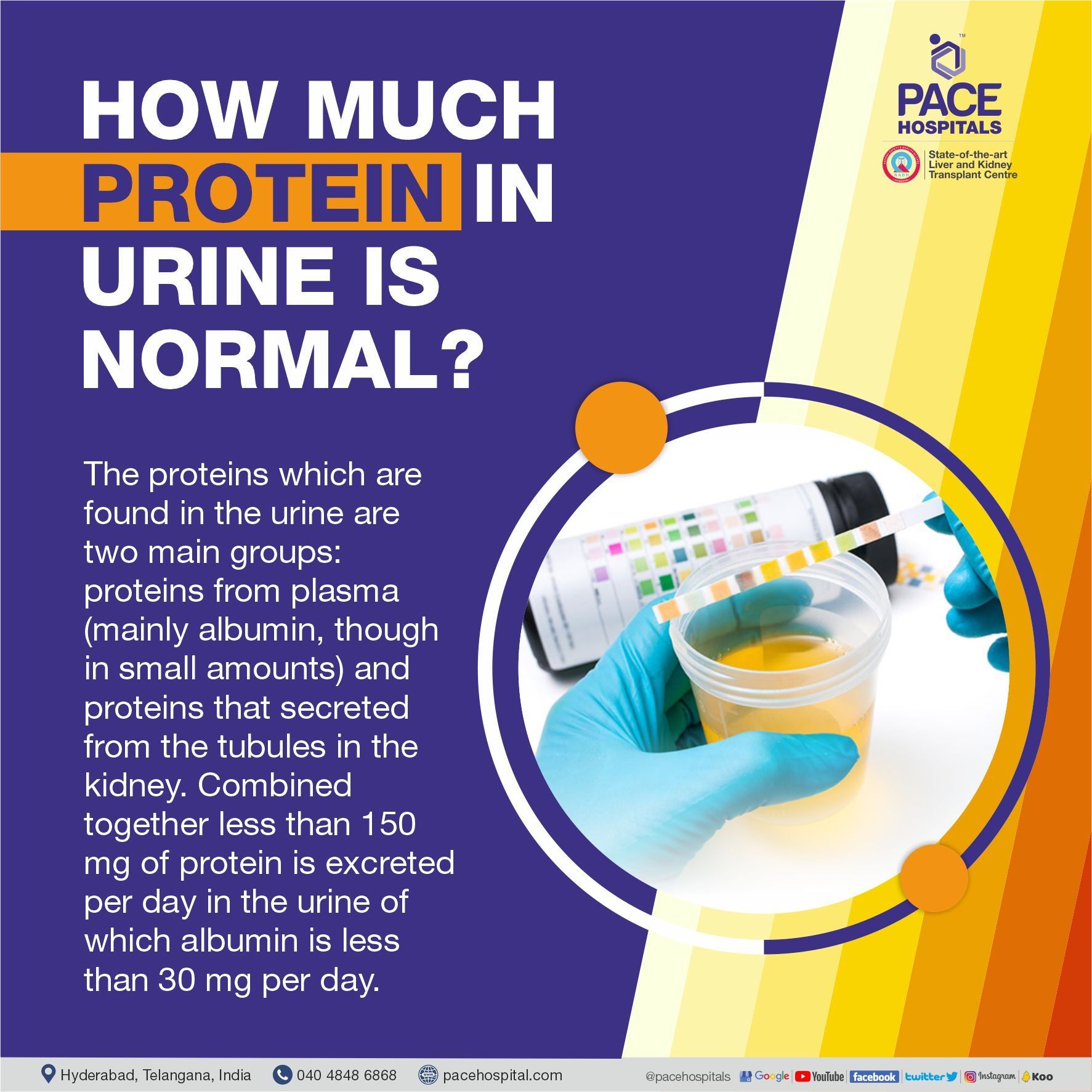 normal protein ranges in urine How much protein in urine is normal | normal protein ranges in urine