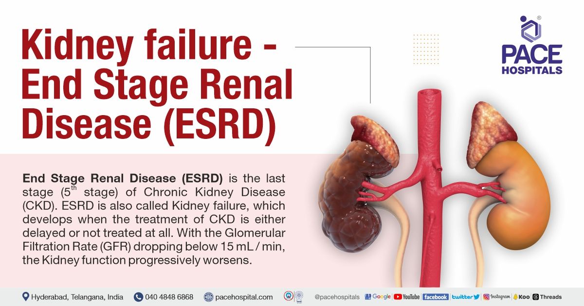 Kidney failure - End-Stage Renal Disease: Symptoms, Causes, Risk factors, Complications, Prevention