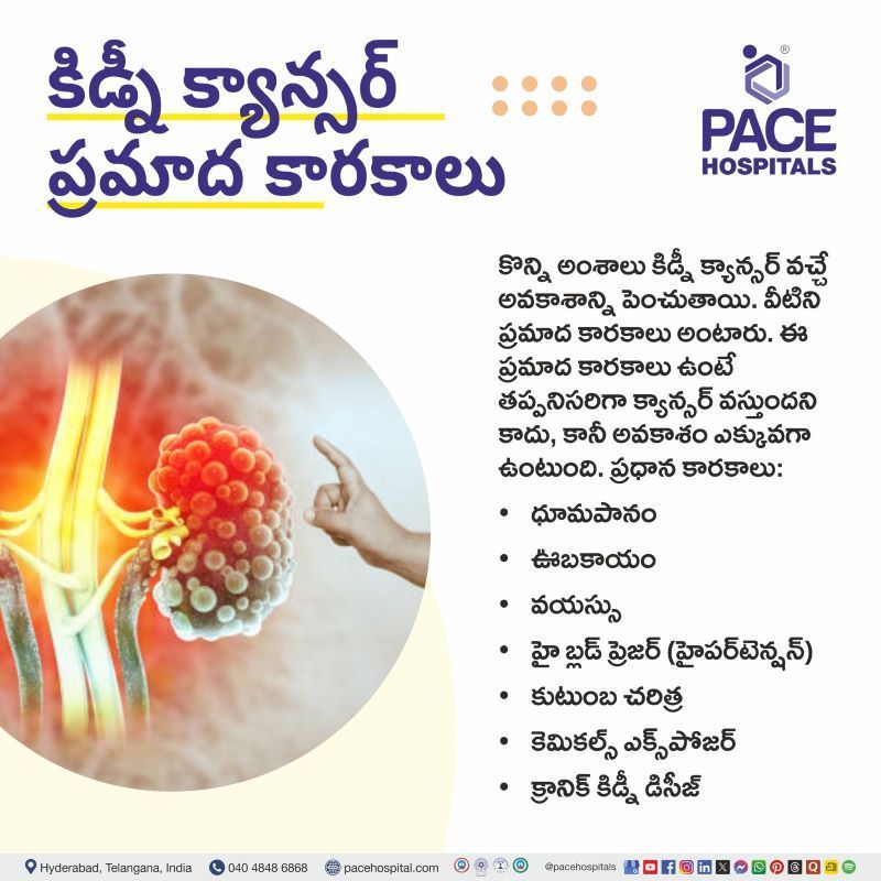 కిడ్నీ క్యాన్సర్ ప్రమాద కారకాలు | Kidney Cancer Risk Factors in Telugu Kidney Cancer Risk Factors in Telugu | కిడ్నీ క్యాన్సర్ ప్రమాద కారకాలు | Risk Factors of Kidney Cancer in Telugu