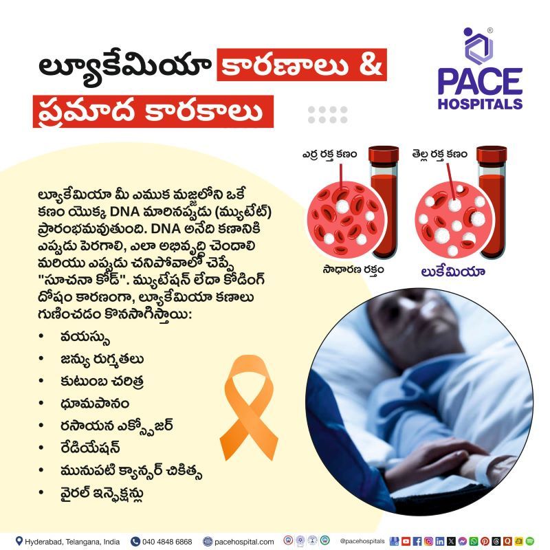 ల్యూకేమియా కారణాలు మరియు ప్రమాద కారకాలు | Leukemia Causes & Risk Factors in Telugu Leukemia Causes in Telugu | ల్యూకేమియా కారణాలు మరియు ప్రమాద కారకాలు | Leukemia Risk Factors in Telugu