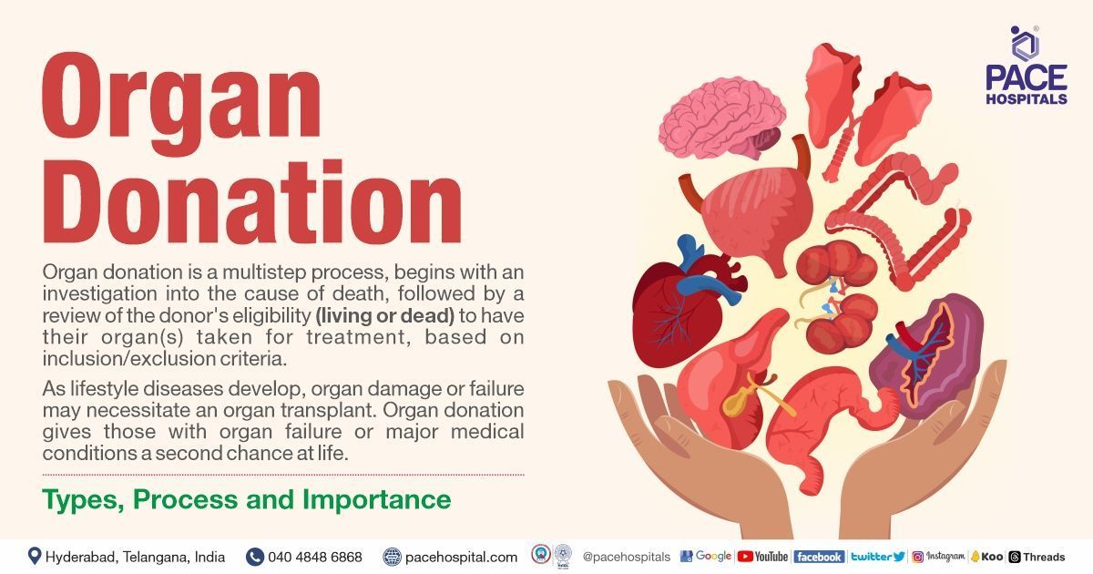 Organ Donation Information - Types, Process, Registration & Importance
