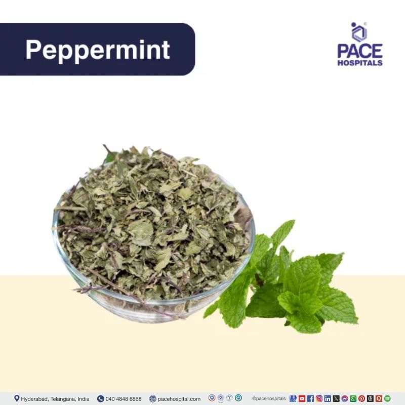 Peppermint - Mentha Peppermint - home remedies for sore throat | sore throat remedies | sore throat treatment at home | best remedy for sore throat | how to cure sore throat at home