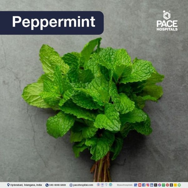 Peppermint - Mentha × piperita Peppermint - natural remedy for dry cough | natural home remedies for cough | natural remedies for cold and cough