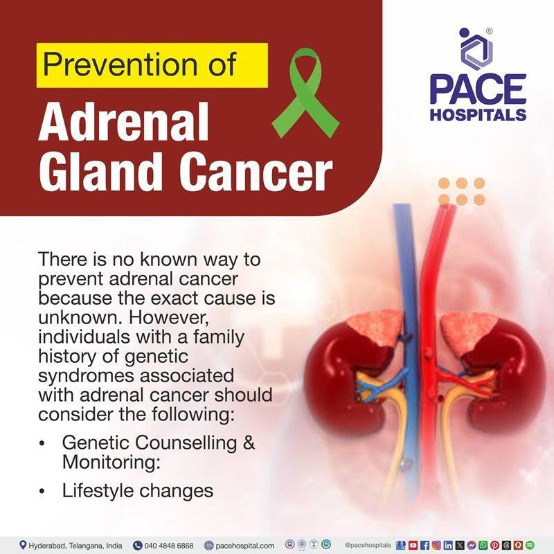 Adrenal cancer prevention Adrenocortical carcinoma preventions | image showing the preventive measures of adrenal cancer