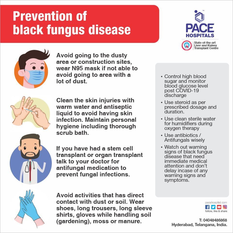 Prevention of Black Fungus Disease, Precautions of Mucormycosis Prevention of Black Fungus Disease, Precautions of Mucormycosis
