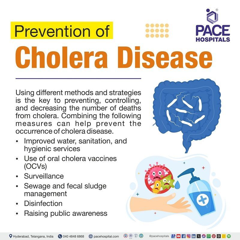 Cholera disease preventive tips Cholera prevention | cholera prevention and control | cholera treatment and prevention | prevention of cholera disease | Visual depicting the preventive measures of Cholera disease