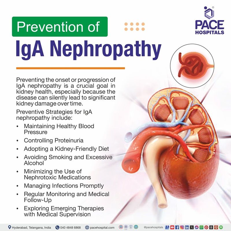 IgA Nephropathy Preventions igA nephropathy Preventions | Visual depicting the preventions of igA nephropathy